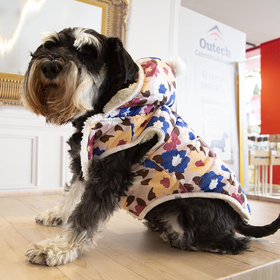 Outech Spring Casaco para c&atilde;es, , large Imagem n&uacute;mero 6